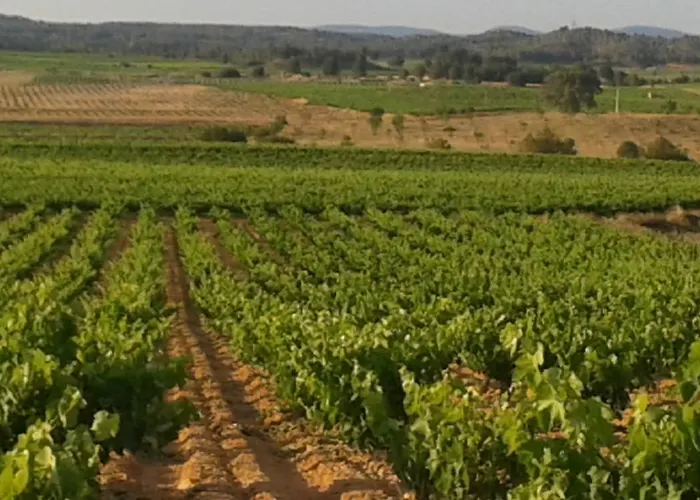 Gasthuis Isla - Couples Only